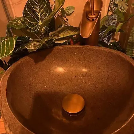Jungle Jacuzzi Prive Apartment *